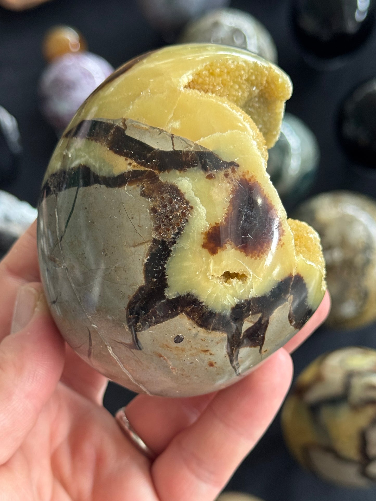 Septarian Egg