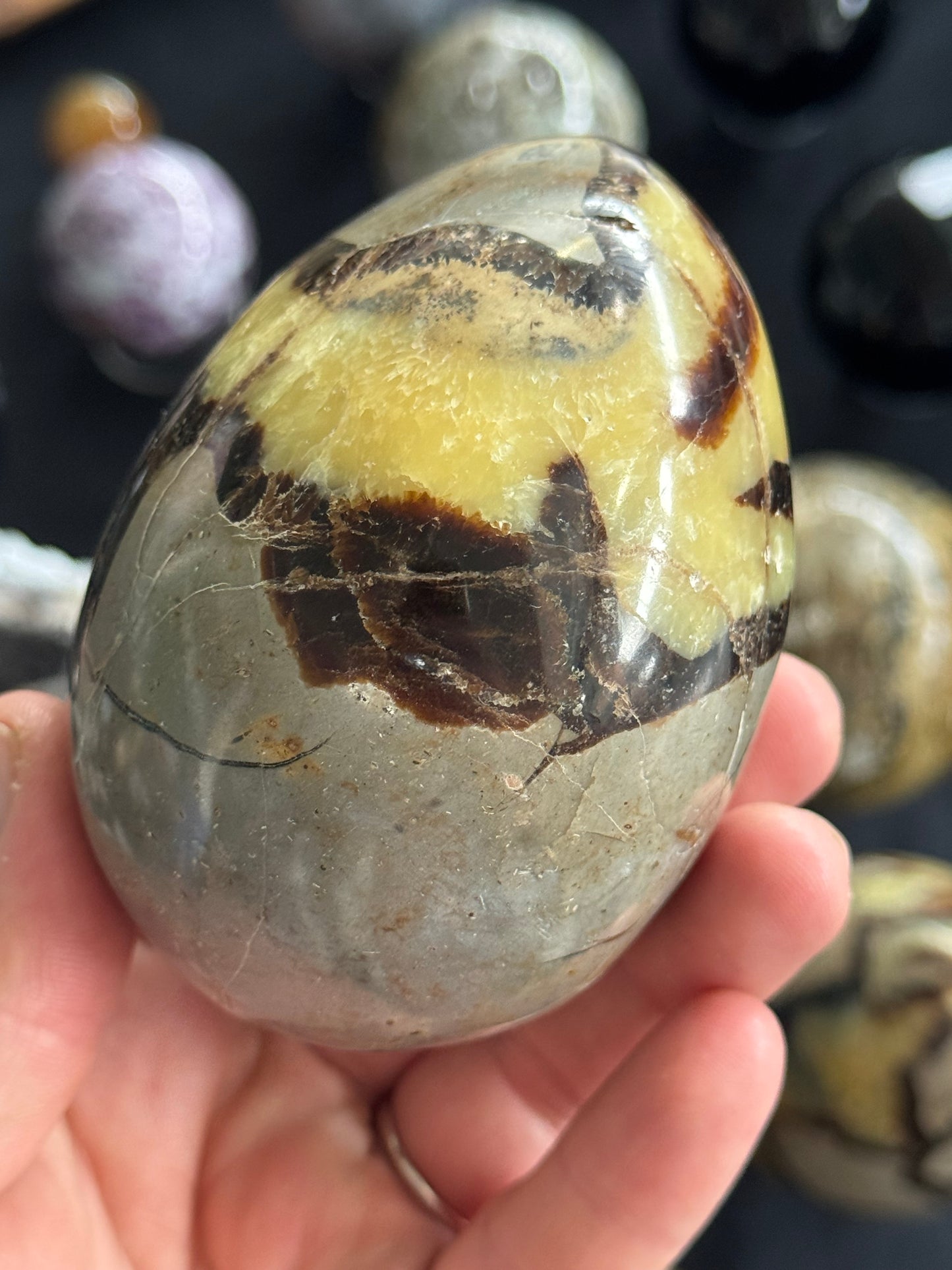 Septarian Egg