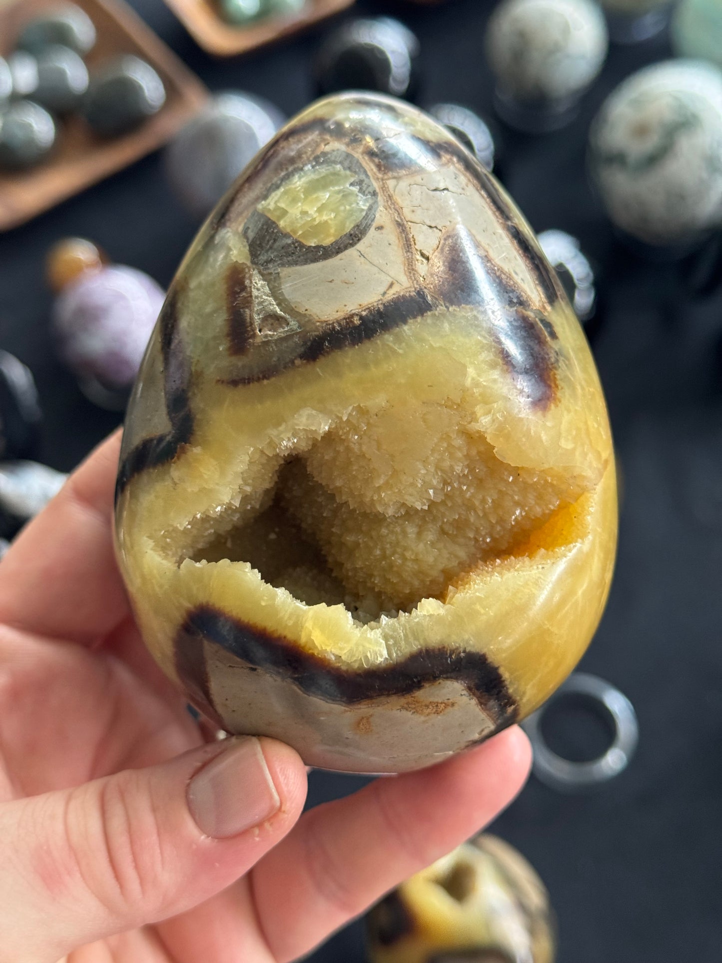 Septarian Egg