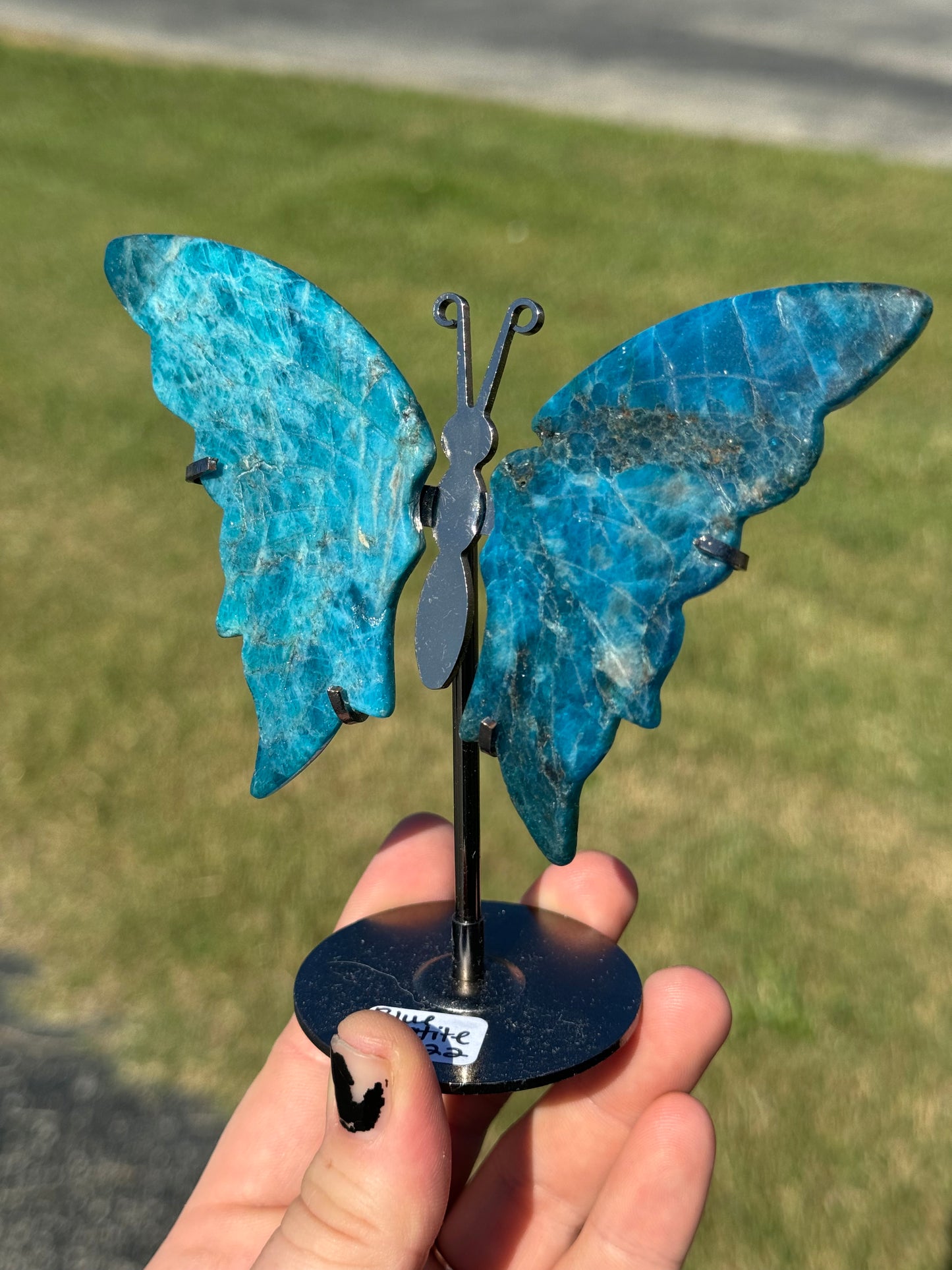 Blue Apatite Butterfly Wings