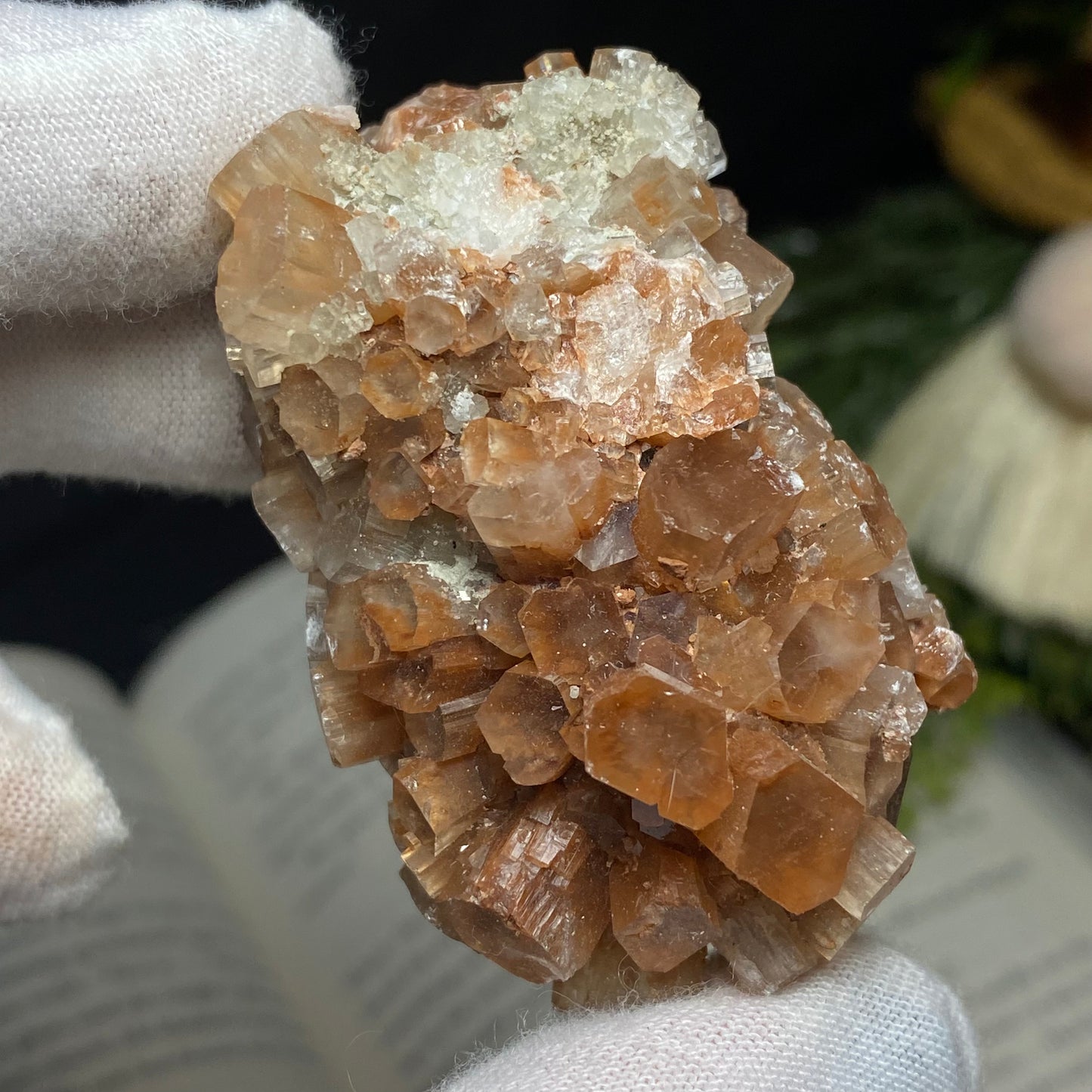 Aragonite Crystal Cluster Specimen, Morocco 6cm