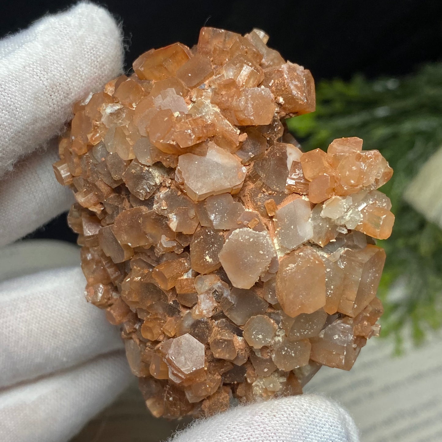 Aragonite Crystal Cluster Specimen, Morocco 3”x 2”