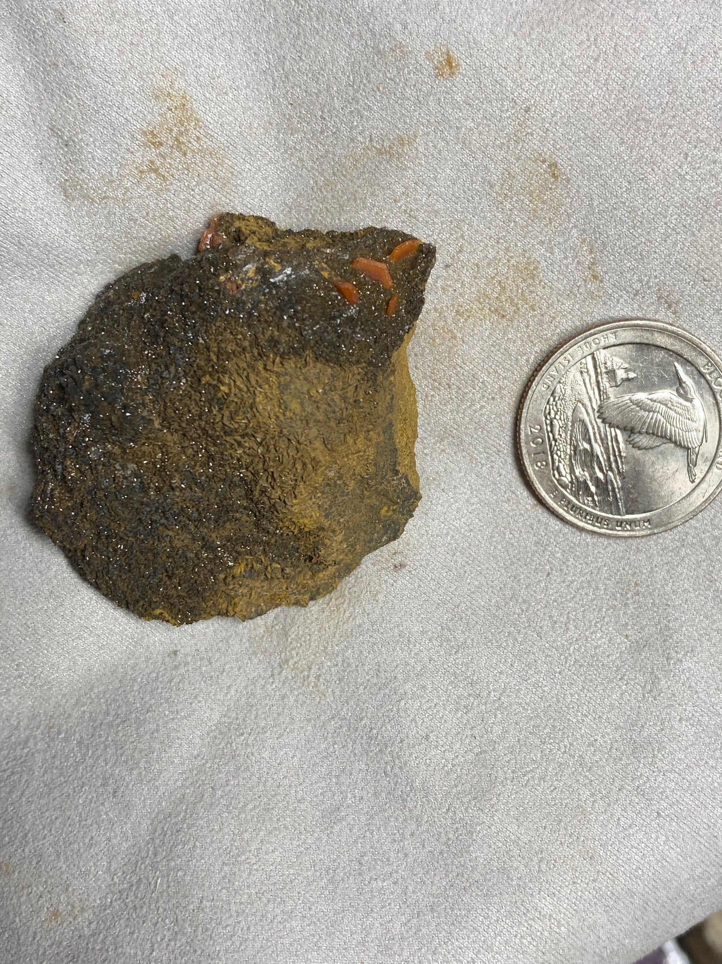 Micro Druzy Goethite Crystal Specimen with Vanadinite Blades 1.3”