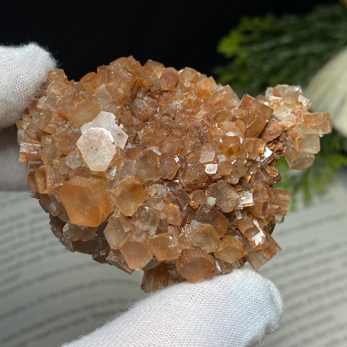 Aragonite Crystal Cluster Specimen, Morocco 2.5”x2”