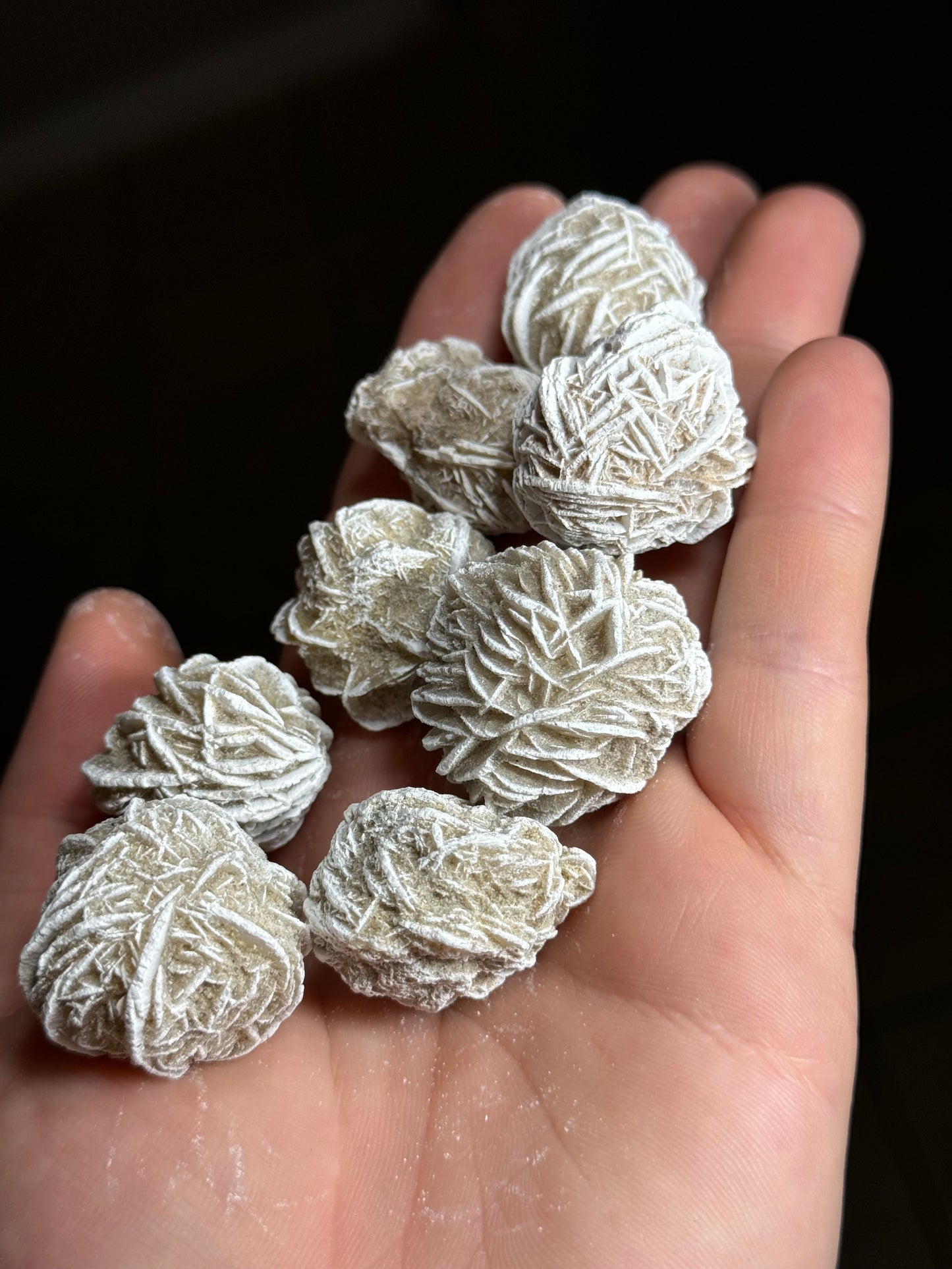 Desert Rose Cluster