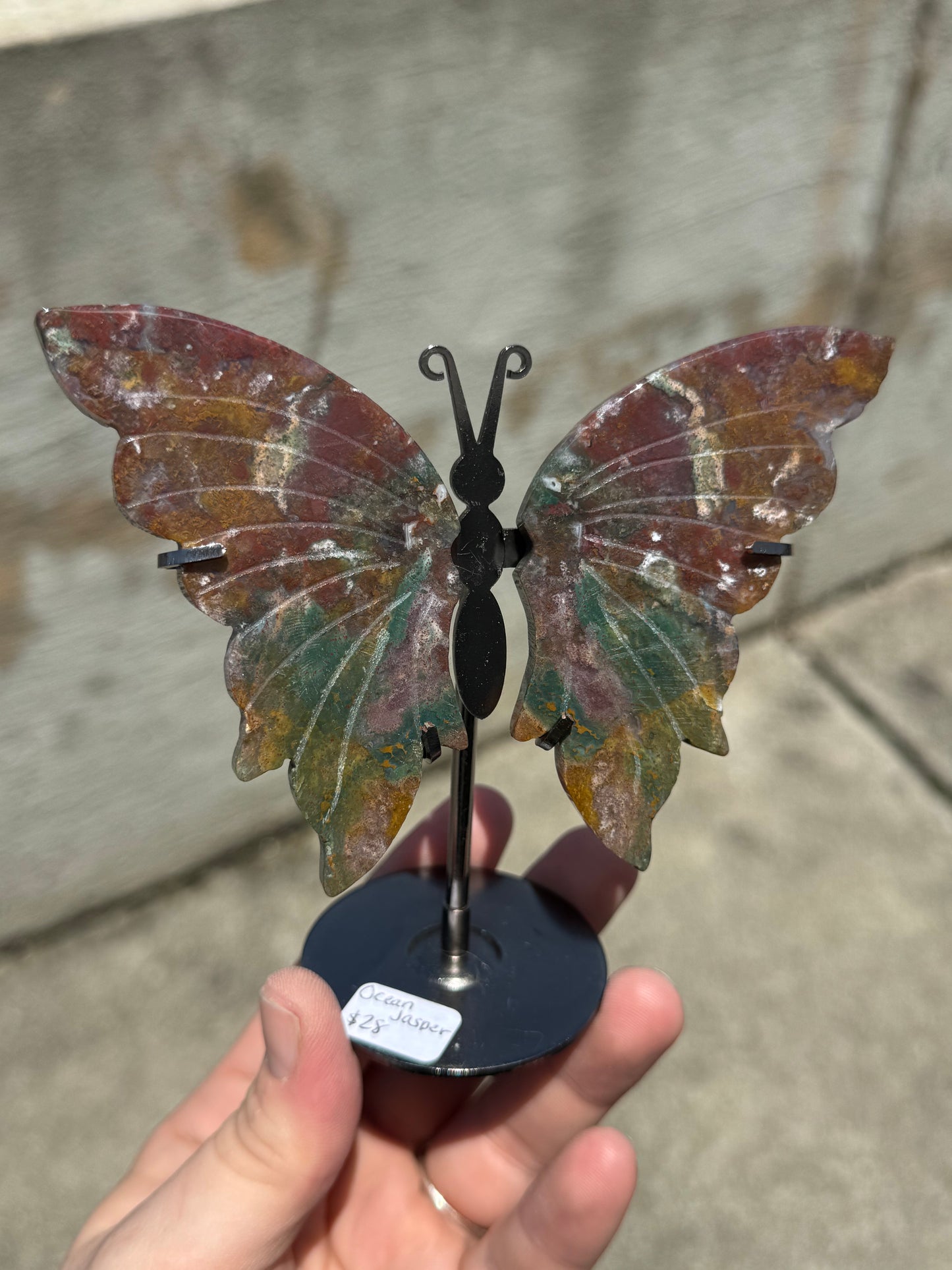 Ocean Jasper Butterfly