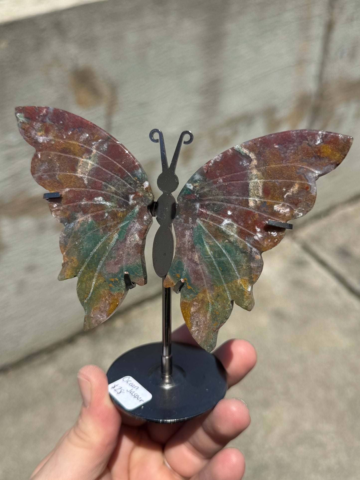 Ocean Jasper Butterfly