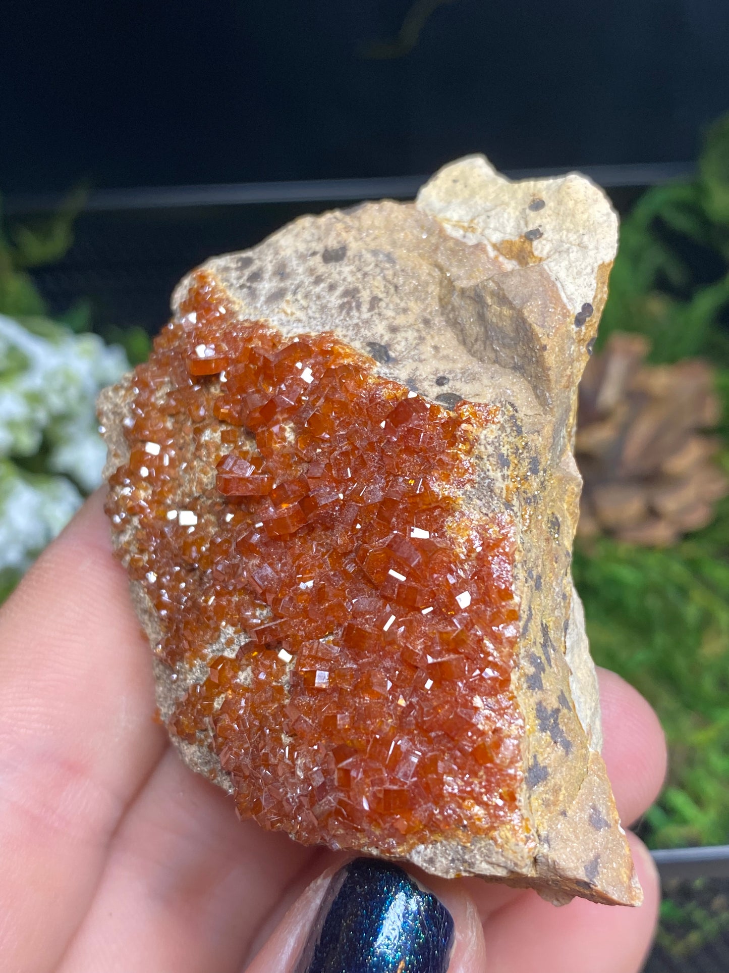 Vanadinite Mineral Specimen, 2.5”x1.5”