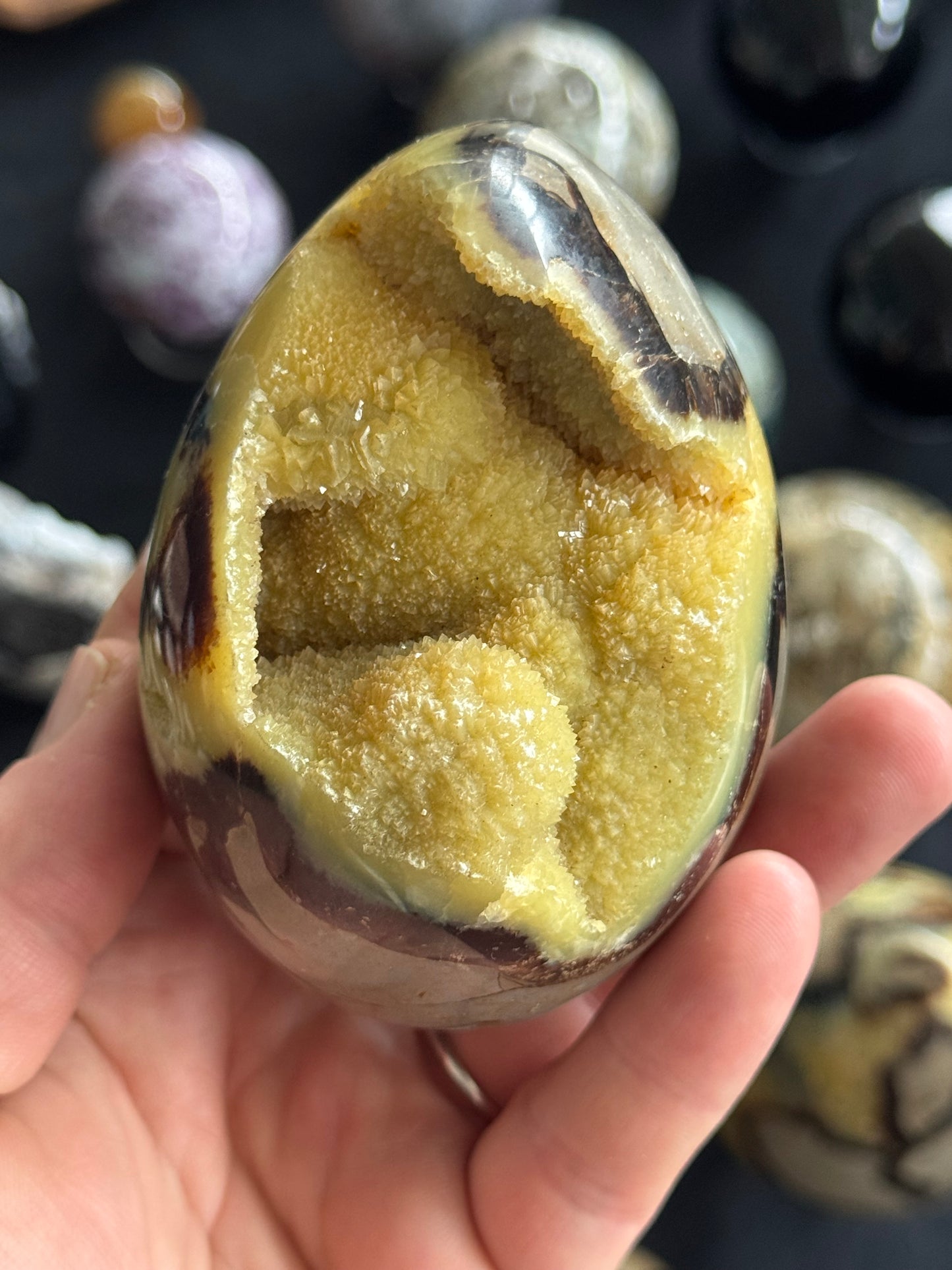 Septarian Egg