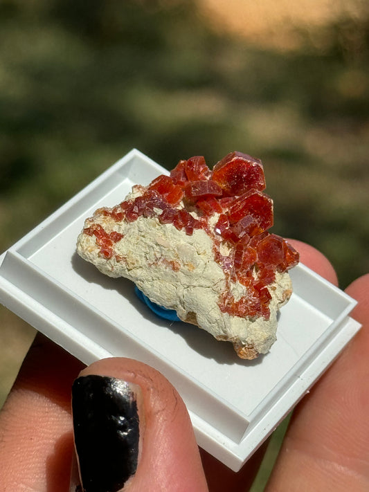 Vanadinite on Barite