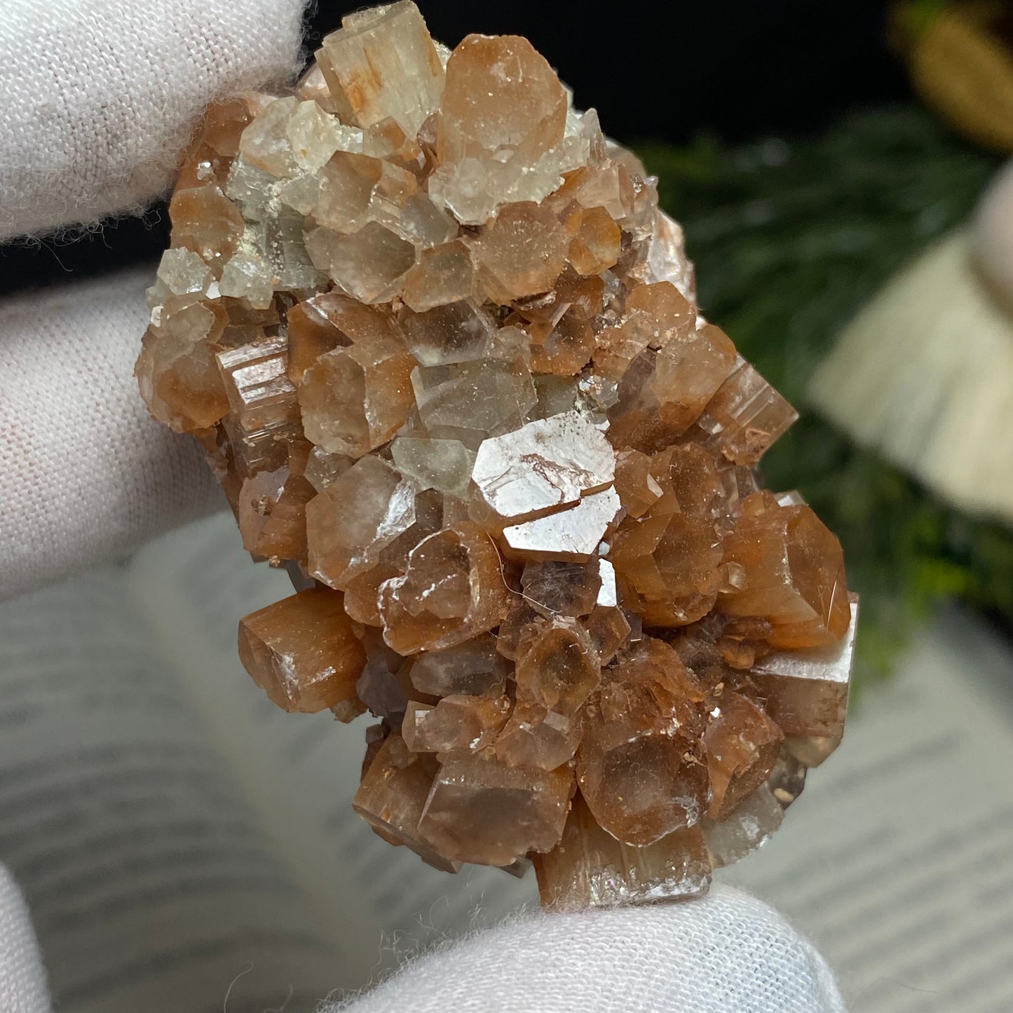 Aragonite Crystal Cluster Specimen, Morocco 6cm