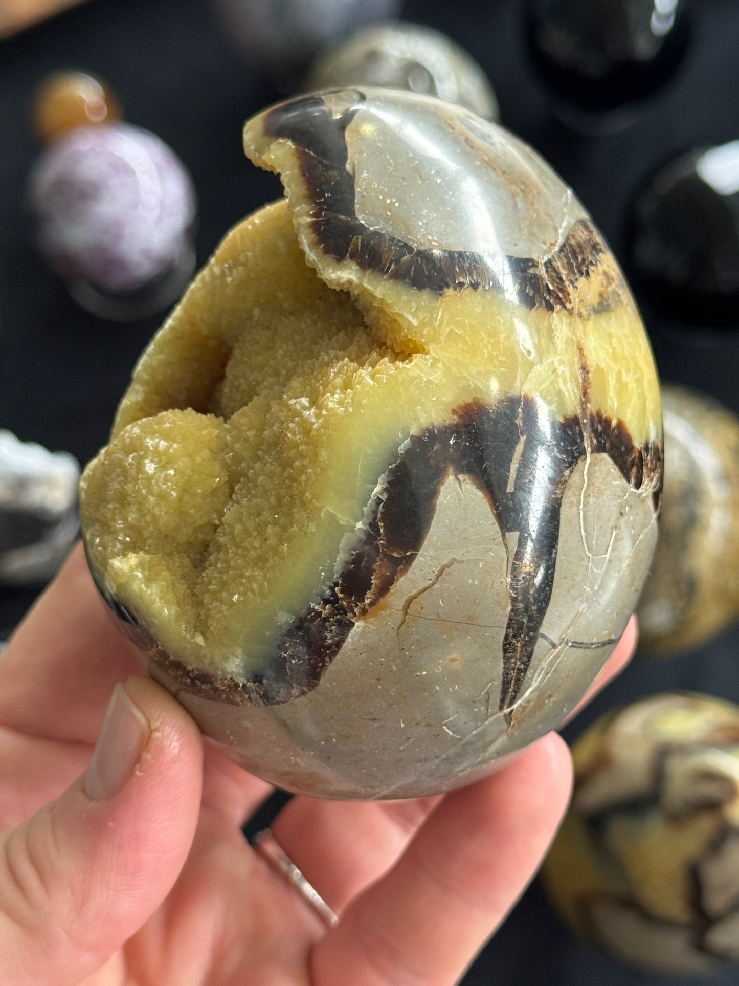 Septarian Egg