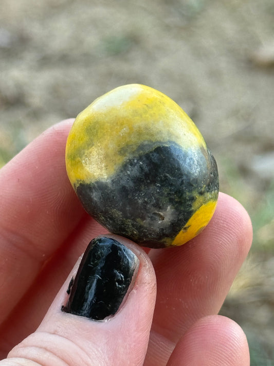 Bumblebee Jasper Tumble