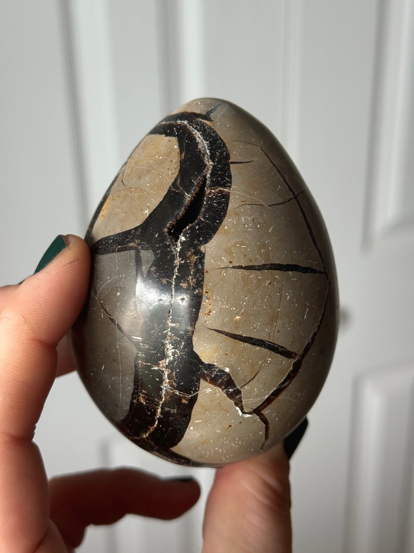 Septarian Egg UV reactive 4”x2.6”