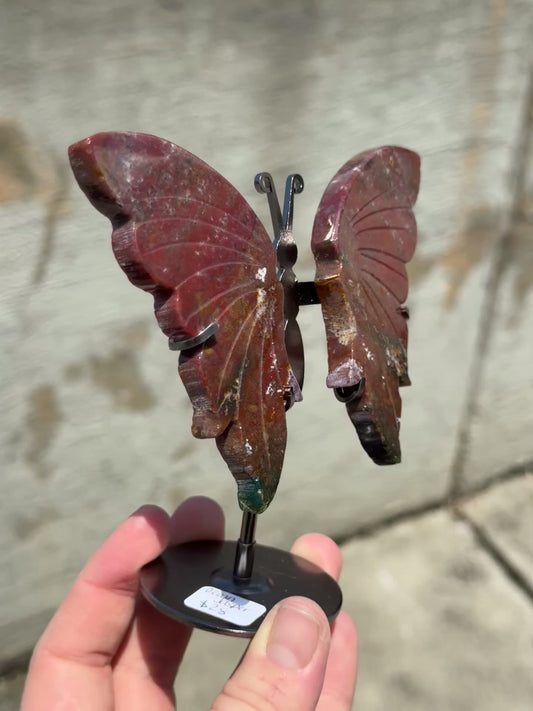 Ocean Jasper Butterfly Wings