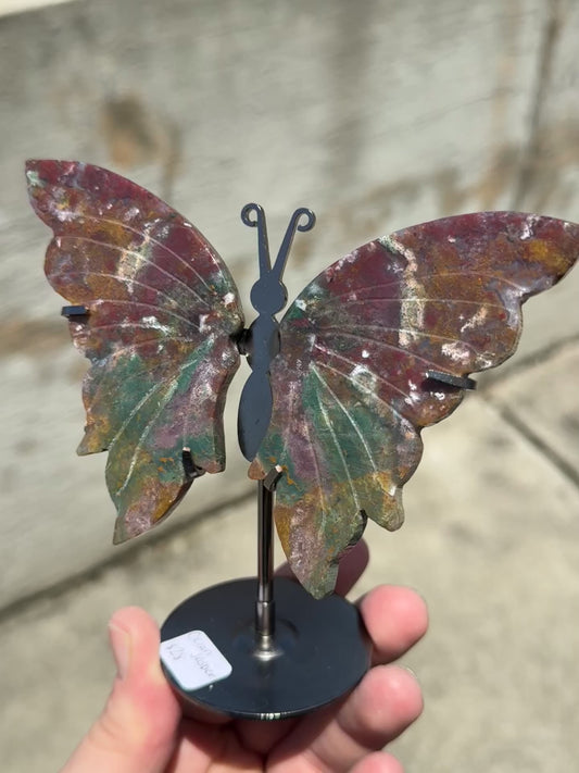 Ocean Jasper Butterfly