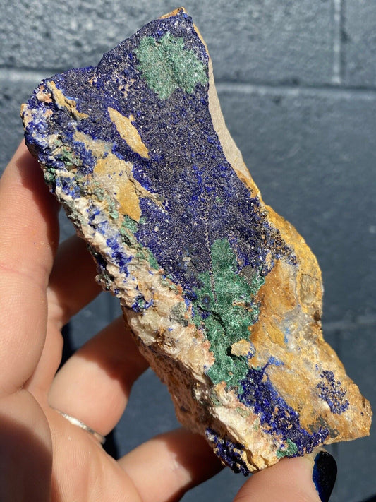 Raw Azurite Malachite Crystal / Mineral Specimen On Quartz,  Morocco 5-6”